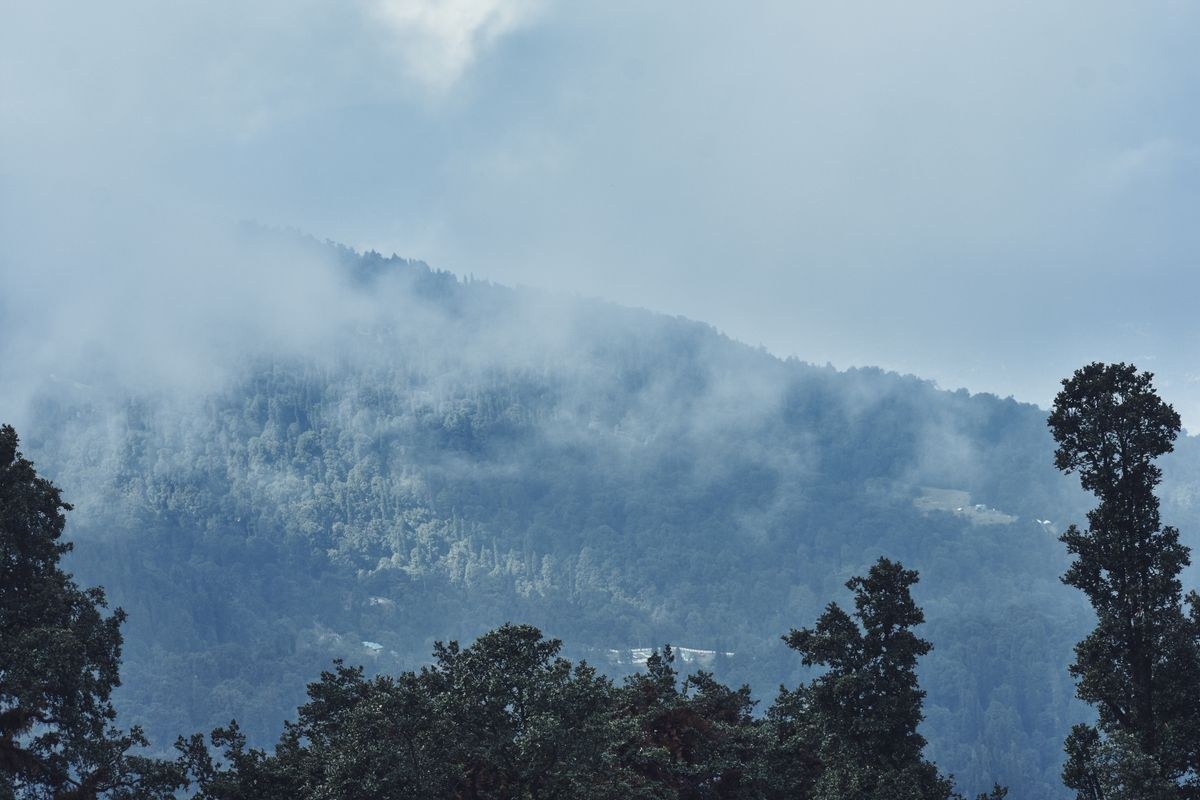 Himachal Discovery - Shimla Manali Dharamshala Dalhousie