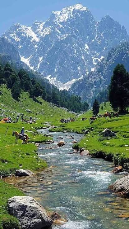 THE HEAVEN OF INDIA- KASHMIR - Activity & Sightseeing