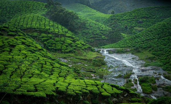 Discover Kerala - Destinations