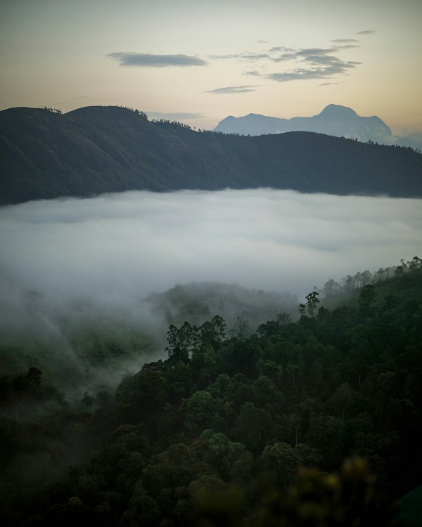 Discover Kerala - Stays