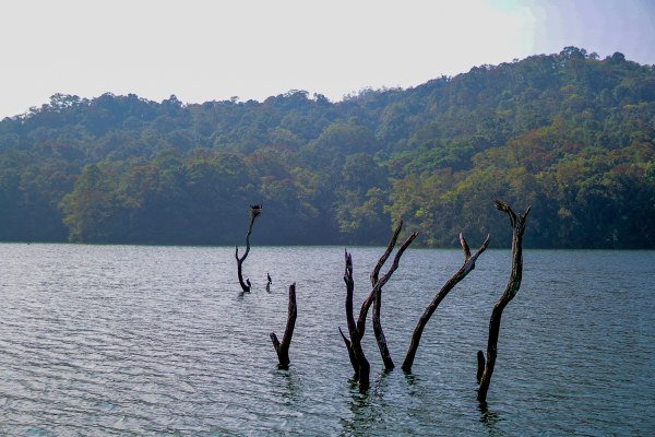 Discover Kerala - Activity & Sightseeing