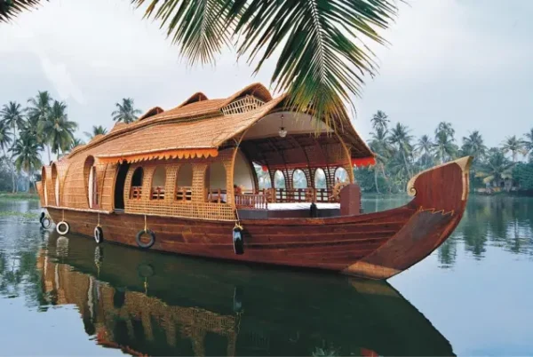Discover Kerala - Transfers