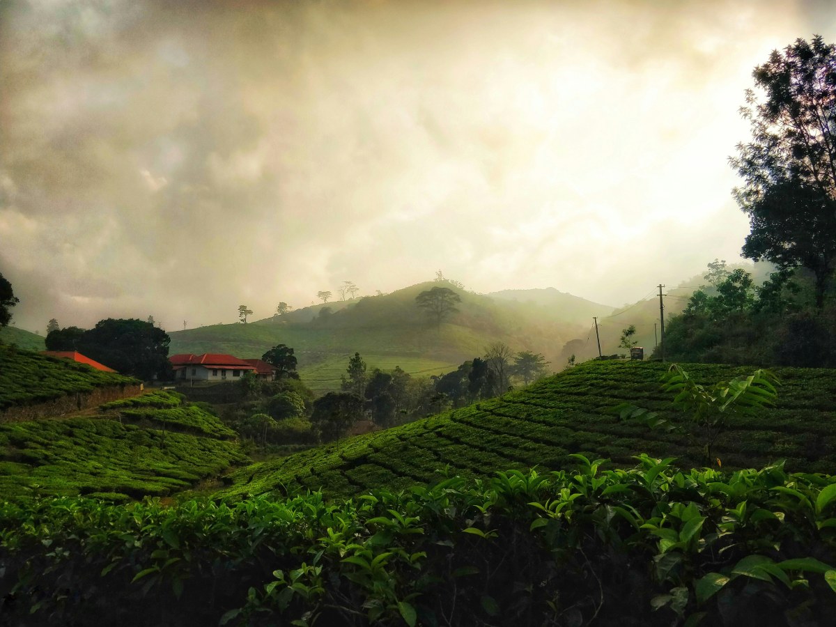 Discover Kerala
